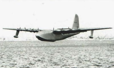 sprucegoose