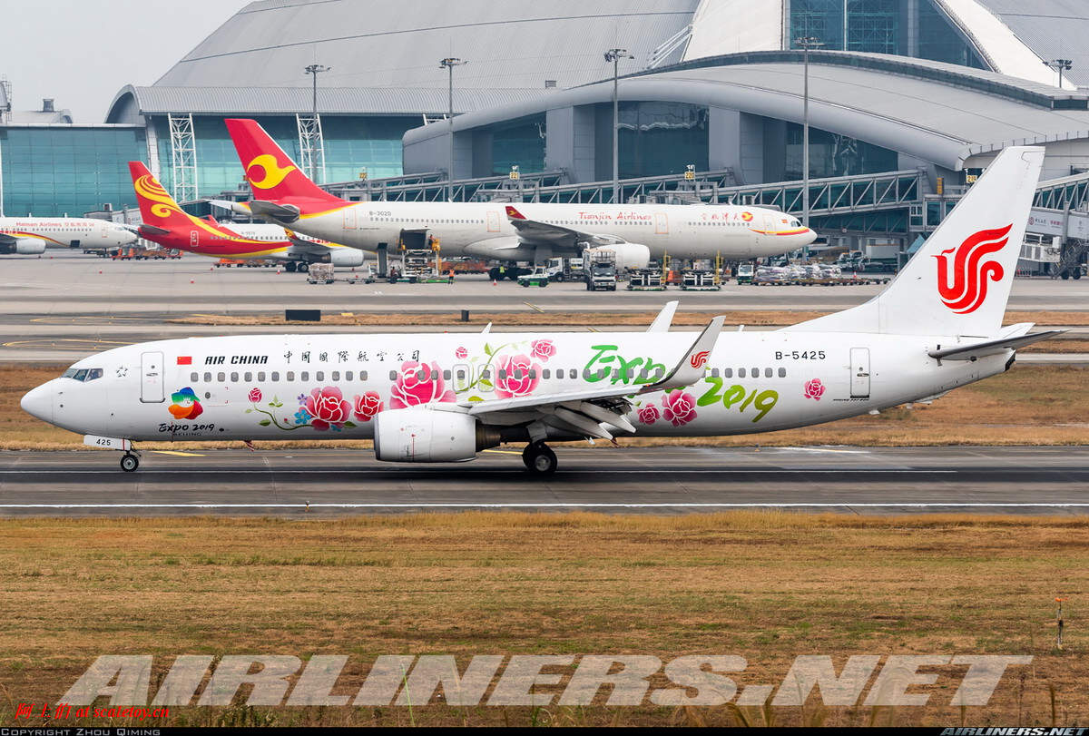 herpa Alas/Aviones de colección 533294 Air China Boeing 737-800 Beijing Expo 2019 