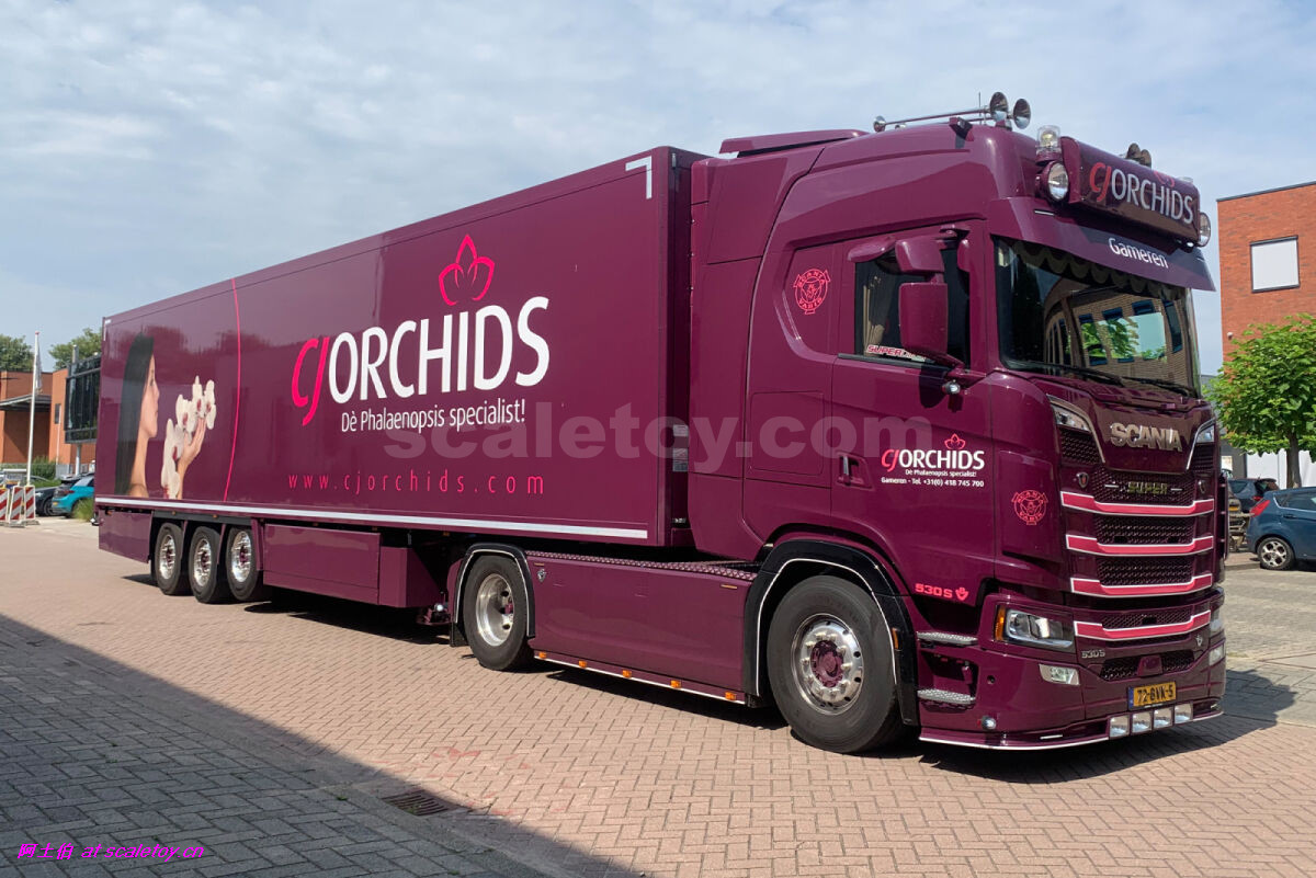 [WSI] SCANIA S HIGHLINE CS20H 4X2 with 3X REEFER TRAILER – CJ ORCHIDS 斯堪尼亚拖头挂三轴冷藏车 荷兰CJ ORCHIDS公司