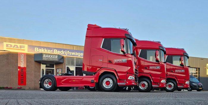 站内搜索 search inside our website